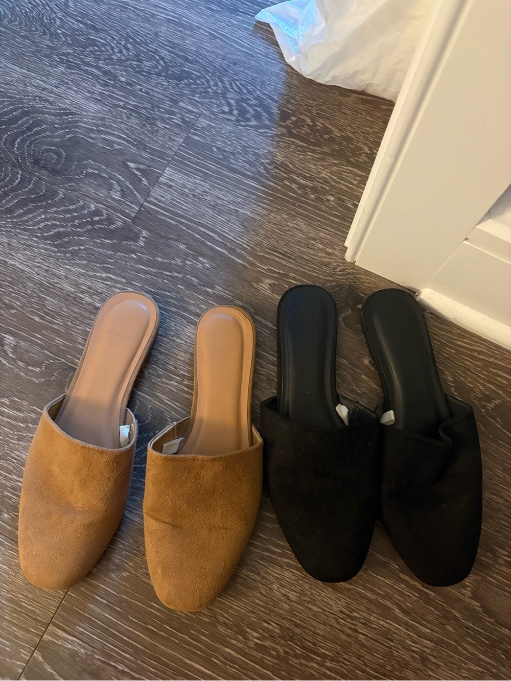 A New Day Mules